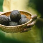 Why do we need high-vibration foods?