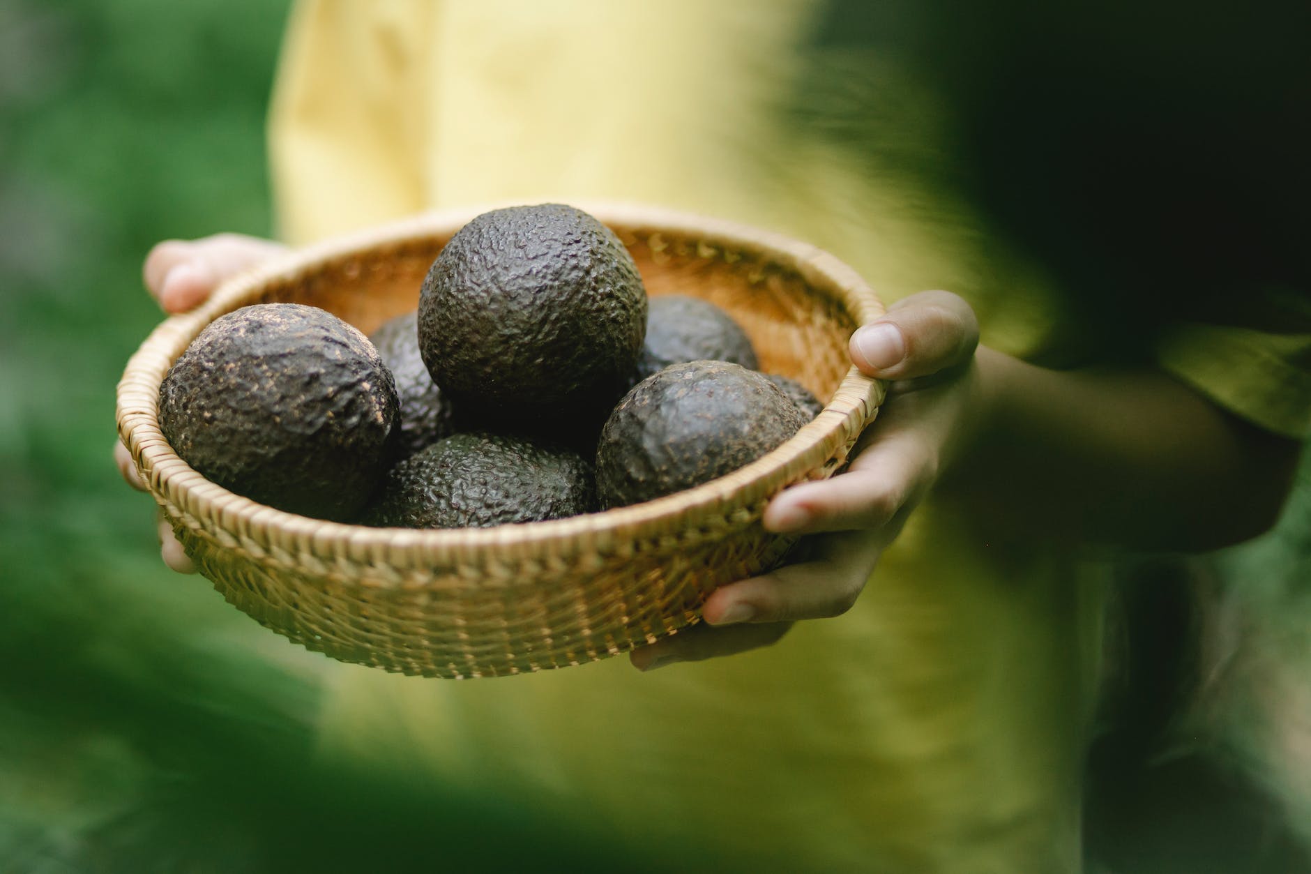 crop woman with basket with avocado