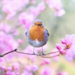 Spring Specials
