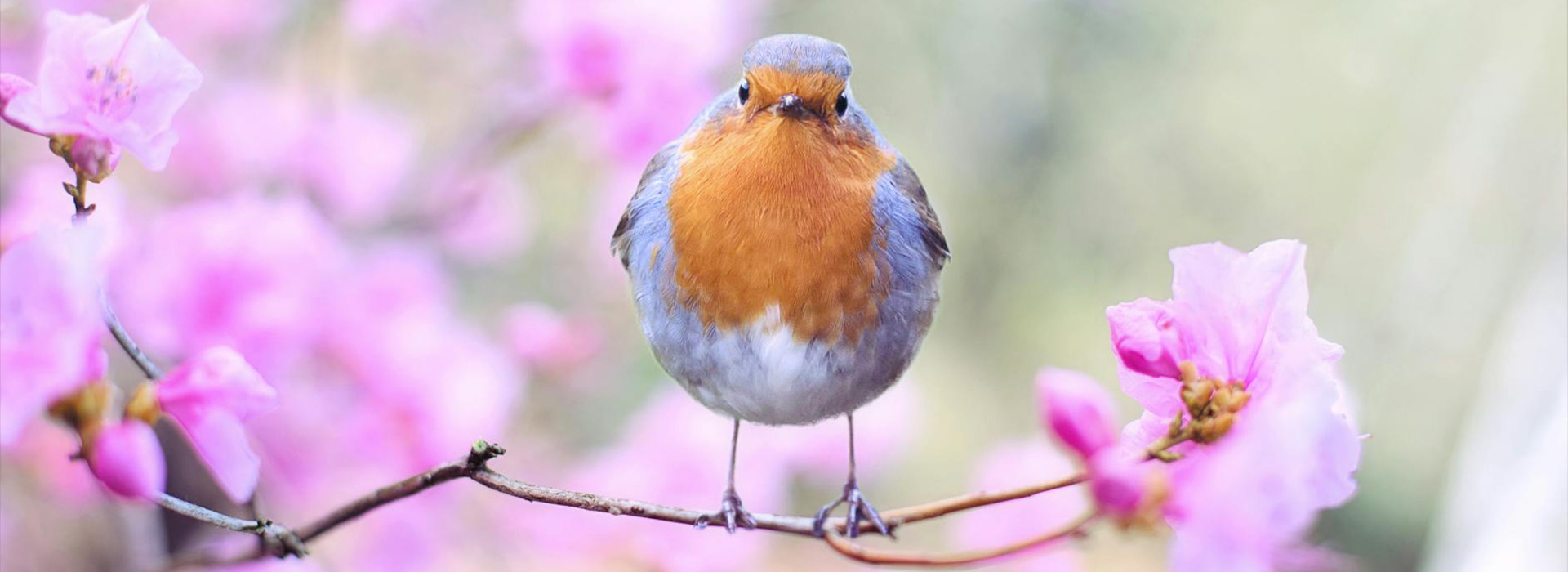 In-Person Sessions Available!