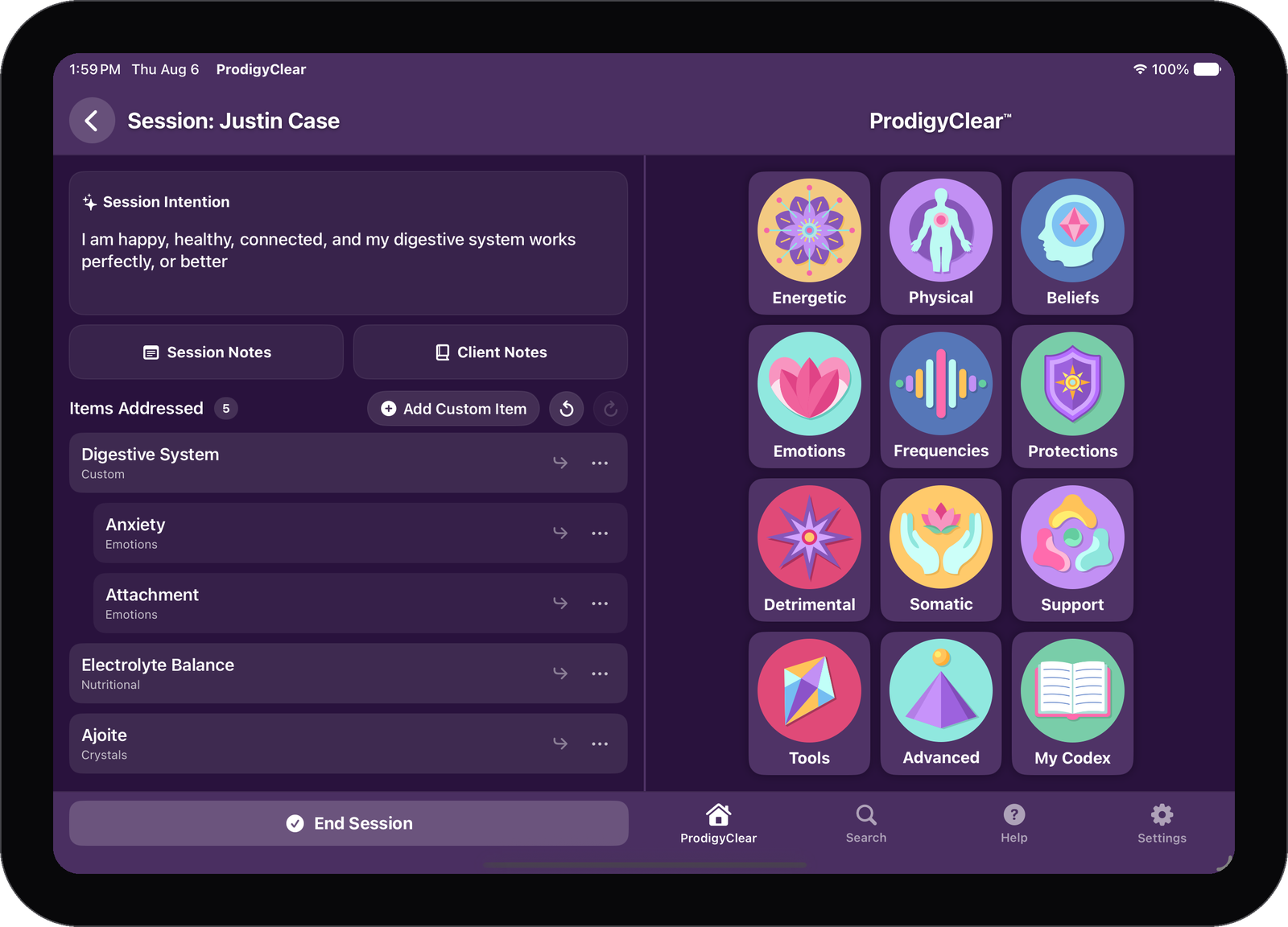 ProdigyClear on iPad in session mode