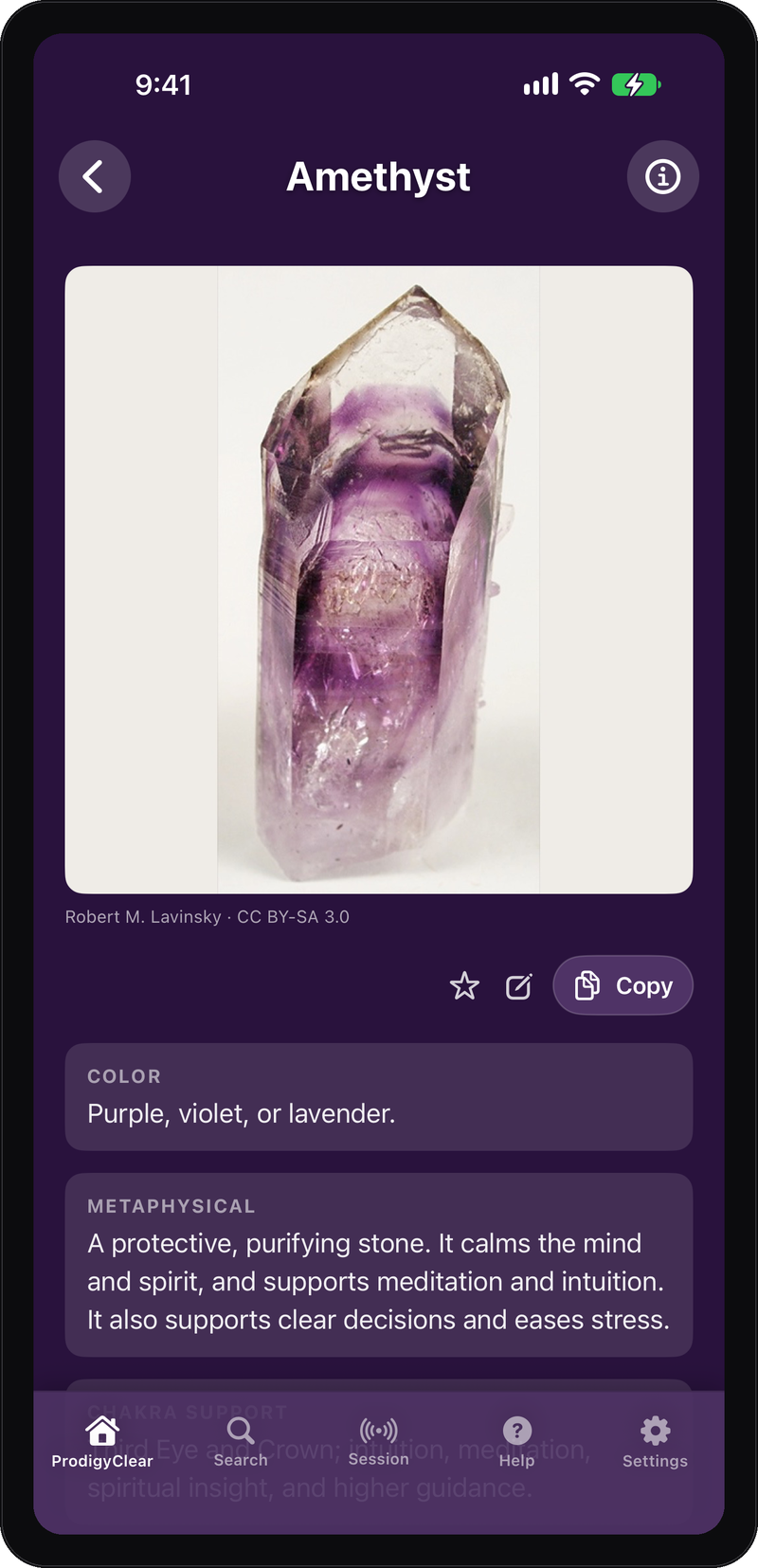 The Amethyst entry in ProdigyClear with its photograph, color notes, and metaphysical guidance